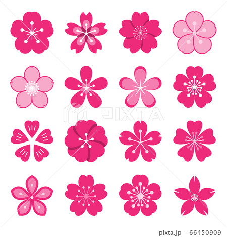 Sakura icons. Collection of 16 Ume Japaneseのイラスト素材