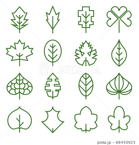 Leaf icons. Collection of abstract, unusual symbols of leaves. Vector illustration 66450925