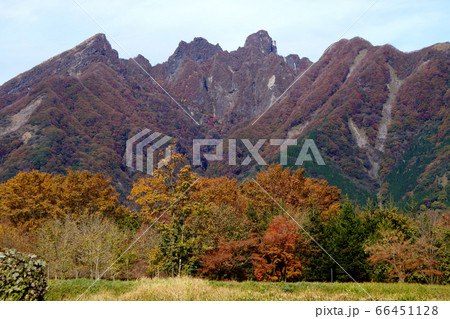 秋の根子岳 紅葉した山肌の景観 秋の根子岳 紅葉した山肌の景観 66451128