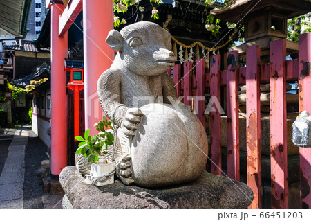 東京 秋葉原 柳森神社 おたぬきさまの写真素材 [66451203] - PIXTA