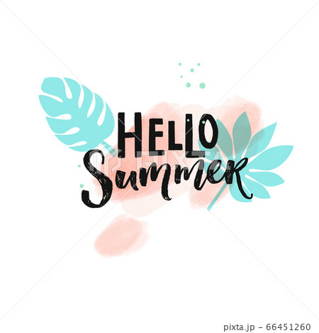 Hello Summer hand lettering inscription on pink watercolor brush strokes and blue tropical leaves. Summer season banner vector design. 66451260