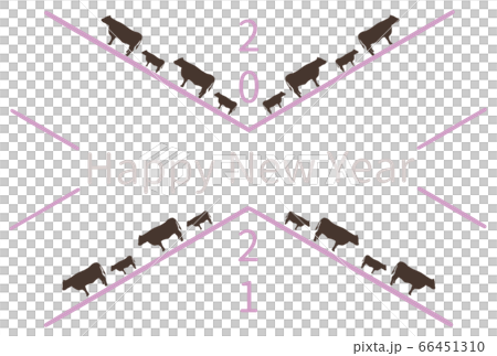 New Year card Happy New Year 2021 (pink line) 66451310