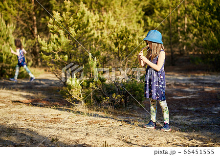 girl in a summer dress runs in a pine forest girl in a summer dress runs in a pine forest 66451555