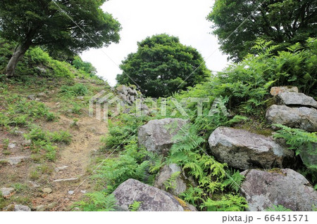 出石城 出石城 66451571