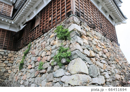 福知山城 福知山城 66451694