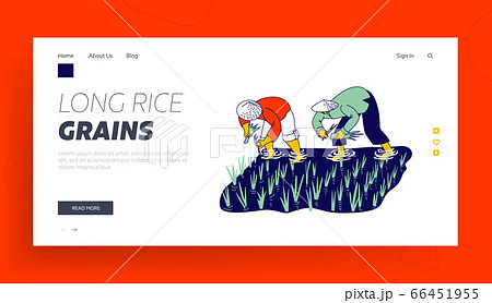 Workers in Thai or China Working on Field Landing Page Template. Farmers Characters Soaked with Water 66451955