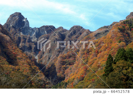 秋の根子岳 紅葉した山肌の景観 秋の根子岳 紅葉した山肌の景観 66452578