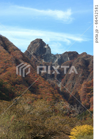 秋の根子岳 紅葉した山肌の景観 秋の根子岳 紅葉した山肌の景観 66452581