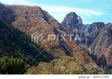 秋の根子岳 紅葉した山肌の景観 秋の根子岳 紅葉した山肌の景観 66452582