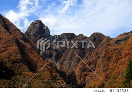 秋の根子岳 紅葉した山肌の景観 秋の根子岳 紅葉した山肌の景観 66452588