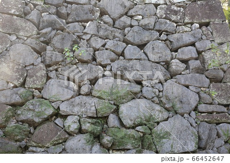 八代城 八代城 66452647