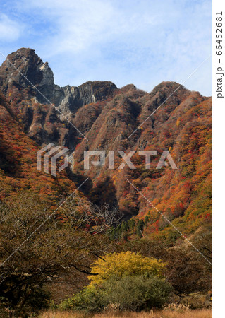 秋の根子岳 紅葉した山肌の景観 秋の根子岳 紅葉した山肌の景観 66452681