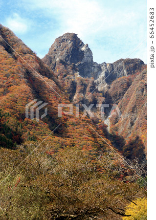 秋の根子岳 紅葉した山肌の景観 秋の根子岳 紅葉した山肌の景観 66452683