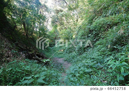 志布志城 66452758