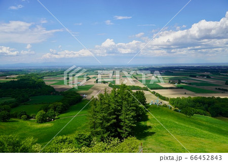 新嵐山スカイパーク展望台からの眺め 66452843