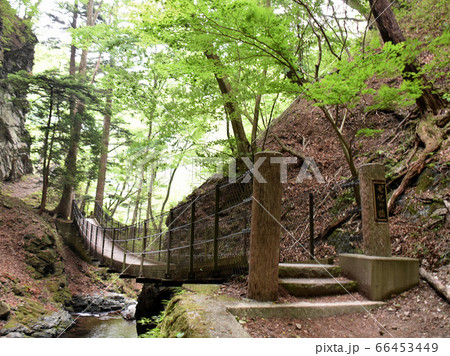 栃木県那須塩原市 竜化の滝 栃木県那須塩原市 竜化の滝 66453449