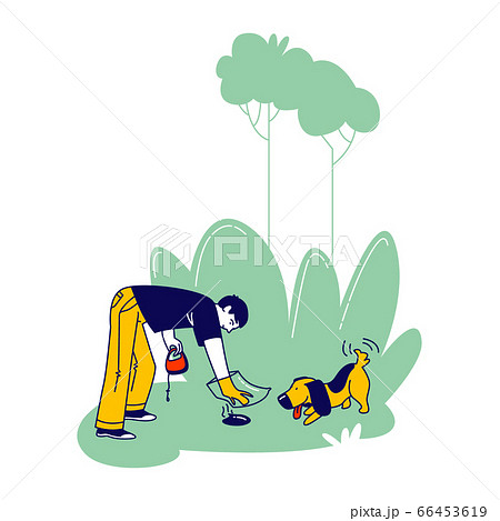 Dog Owner Character Remove Dog Shit from Ground in Park or House Yard Using Plastic Bag on Hand Dog Owner Character Remove Dog Shit from Ground in Park or House Yard Using Plastic Bag on Hand 66453619