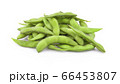 green soybeans on white background 66453807