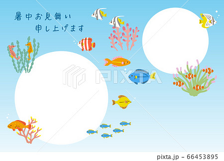 暑中見舞い 熱帯魚のフォトフレーム 背景 暑中見舞い 熱帯魚のフォトフレーム 背景 66453895