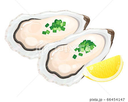レモンとネギで食べる牡蠣のイラストのイラスト素材