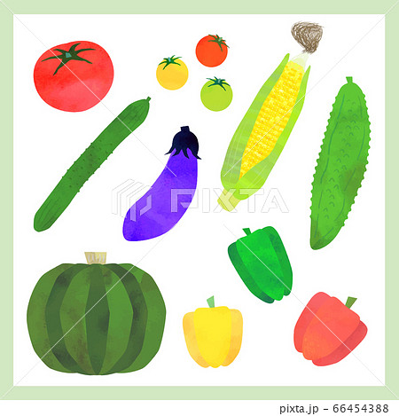 夏野菜 セット ベクター版 のイラスト素材