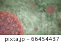 COVID-19 coronavirus wallpaper 66454437