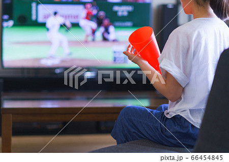 家でスポーツをテレビ観戦する若い女性のイメージ【プロ野球の動画配信サービス】 66454845