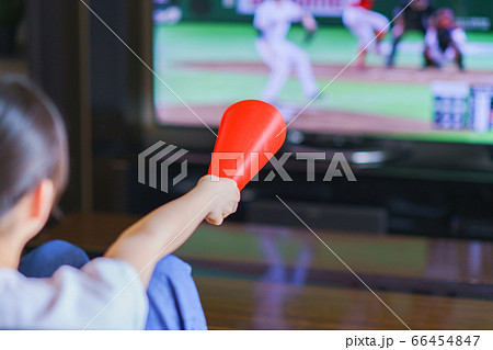 家でスポーツをテレビ観戦する若い女性のイメージ【プロ野球の動画配信サービス】 66454847