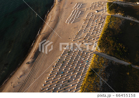 Sunny day in summer at the Baltic Sea 66455158