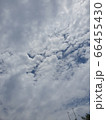 自然 屋外 室外 66455430