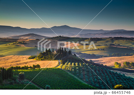 Scenic Tuscany landscape with rolling hills and farmhouse at sunrise 66455746