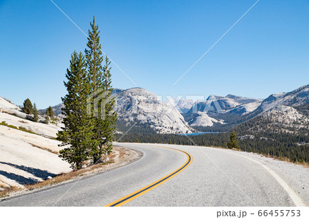 Empty road in Yosemite National Park, California, USA Empty road in Yosemite National Park, California, USA 66455753