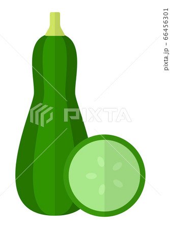 Zucchini upright with slice vector icon flat isolated Zucchini upright with slice vector icon flat isolated 66456301
