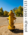 Fire hydrant on a street corner in Independence, California, USA. 66457133