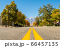 View of an empty street with Black Mountain in the background in Independence, California, USA 66457135