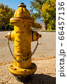 Fire hydrant on a street corner in Independence, California, USA. 66457136