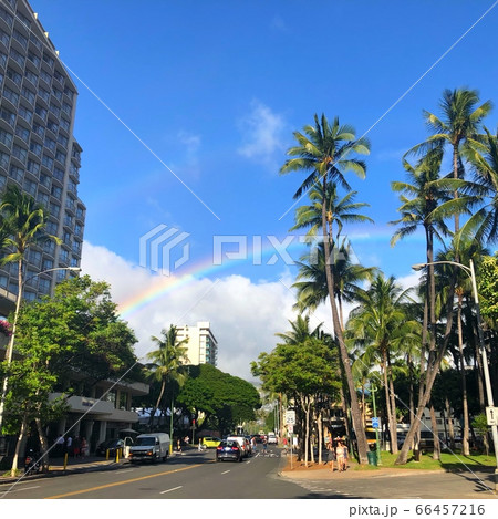 ダブルレインボー ダブルレインボー 66457216