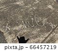 smile 66457219