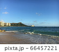 ダイヤモンドヘッド 66457221