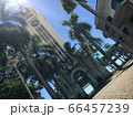 アロハタワー 66457239