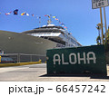 ALOHA 66457242