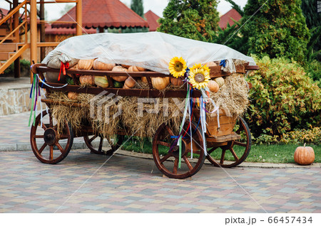 Old carriage cart decorated with autumn pumpkins 66457434