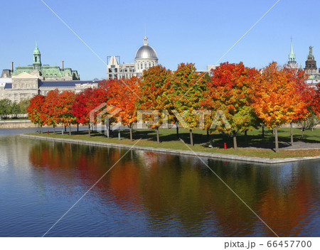 Montreal skyline including Bonsecours Market in autumn, Canada Montreal skyline including Bonsecours Market in autumn, Canada 66457700