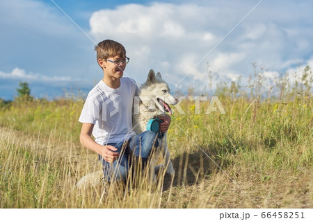 Boy with white dog, teenager walking with husky pet Boy with white dog, teenager walking with husky pet 66458251