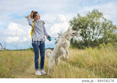 Beautiful girl with white dog, teenager walking with husky pet 66458278