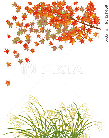 秋の風景 葉が舞うもみじと風に揺れるススキのベクターイラストのイラスト素材