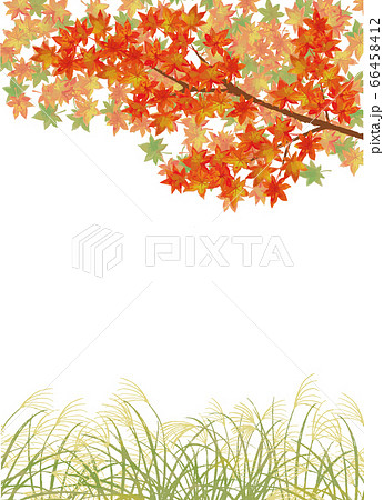 秋の風景もみじとススキ畑のベクターイラストのイラスト素材