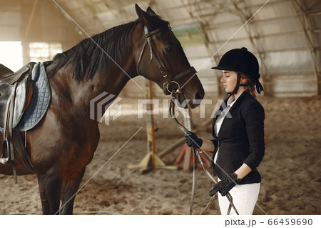 The rider in black form trains with the horse The rider in black form trains with the horse 66459690