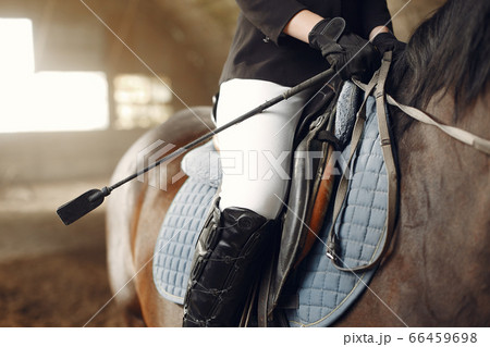 The rider in black form trains with the horse 66459698