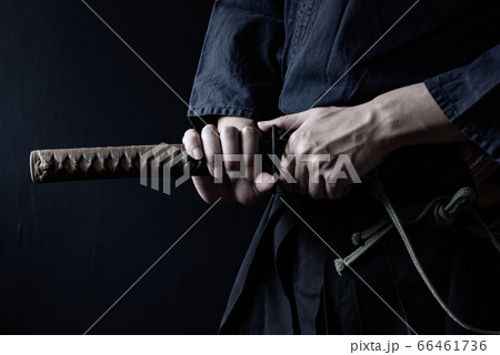 剣術の演武 剣術の演武 66461736